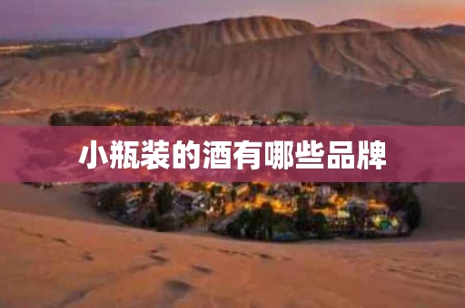 小瓶装的酒有哪些品牌