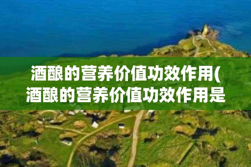 酒酿的营养价值功效作用(酒酿的营养价值功效作用是什么) 酒酿的营养价值功效作用(酒酿的营养价值功效作用是什么)