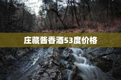 庄藏酱香酒53度价格