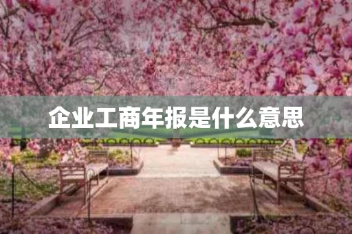 企业工商年报是什么意思