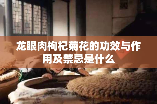 龙眼肉枸杞菊花的功效与作用及禁忌是什么