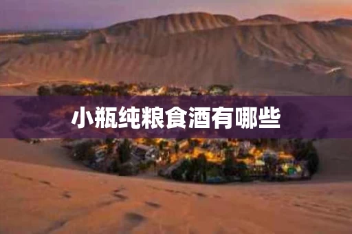 小瓶纯粮食酒有哪些