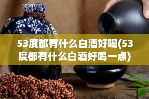 53度都有什么白酒好喝(53度都有什么白酒好喝一点)
