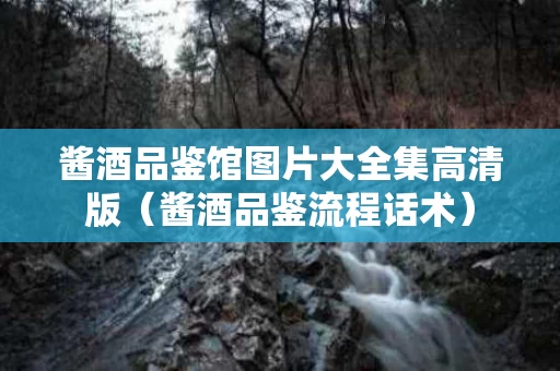 酱酒品鉴馆图片大全集高清版（酱酒品鉴流程话术）