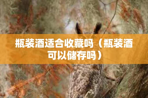 瓶装酒适合收藏吗（瓶装酒可以储存吗）