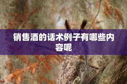 销售酒的话术例子有哪些内容呢