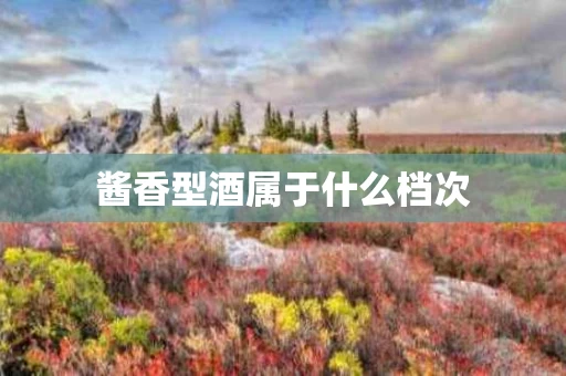 酱香型酒属于什么档次
