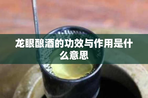 龙眼酿酒的功效与作用是什么意思