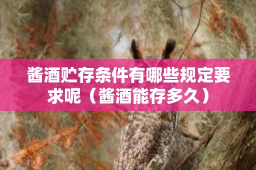 酱酒贮存条件有哪些规定要求呢（酱酒能存多久）