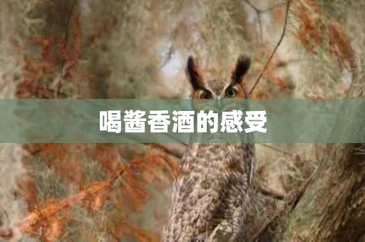 喝酱香酒的感受