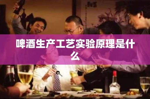 啤酒生产工艺实验原理是什么