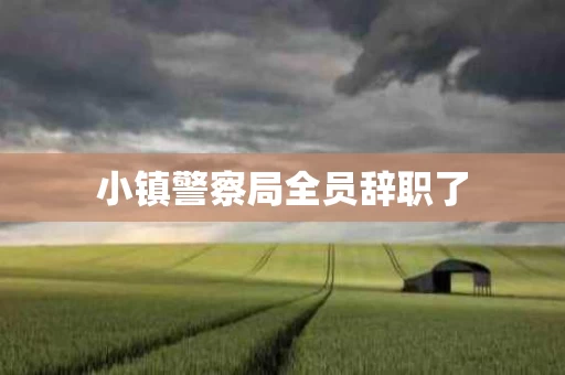 小镇警察局全员辞职了