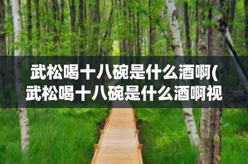武松喝十八碗是什么酒啊(武松喝十八碗是什么酒啊视频)