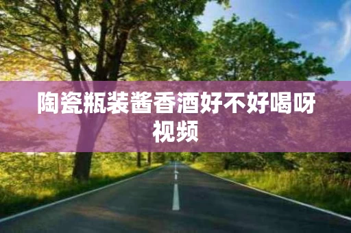 陶瓷瓶装酱香酒好不好喝呀视频