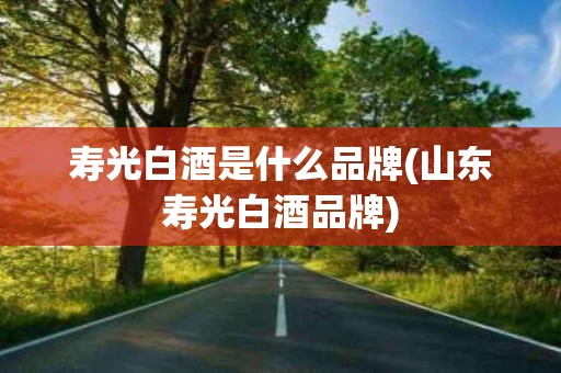 寿光白酒是什么品牌(山东寿光白酒品牌)