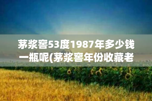 茅浆窖53度1987年多少钱一瓶呢(茅浆窖年份收藏老酒1987年53度酱香型原浆)