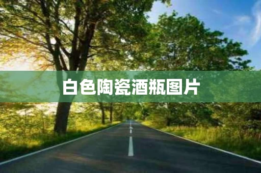 白色陶瓷酒瓶图片