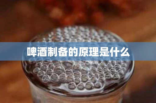 啤酒制备的原理是什么