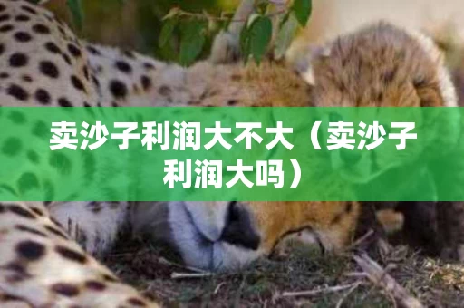 卖沙子利润大不大（卖沙子利润大吗）