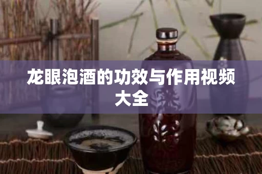 龙眼泡酒的功效与作用视频大全
