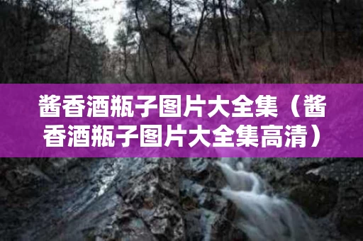 酱香酒瓶子图片大全集（酱香酒瓶子图片大全集高清）