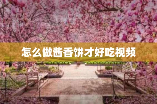 怎么做酱香饼才好吃视频