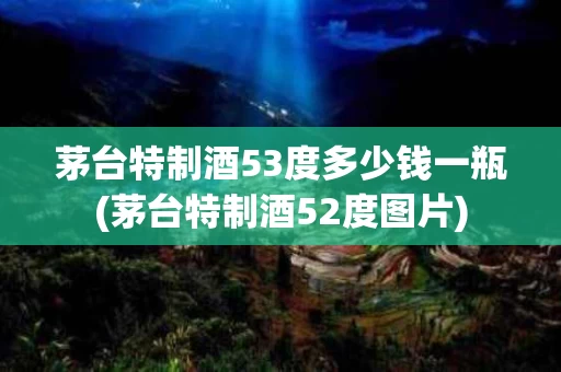 茅台特制酒53度多少钱一瓶(茅台特制酒52度图片)