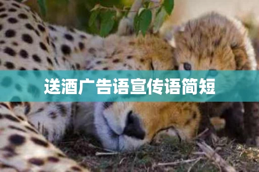 送酒广告语宣传语简短