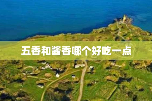 五香和酱香哪个好吃一点