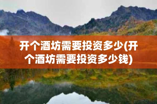开个酒坊需要投资多少(开个酒坊需要投资多少钱)