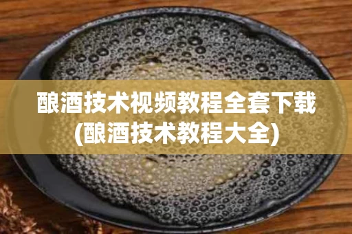 酿酒技术视频教程全套下载(酿酒技术教程大全)