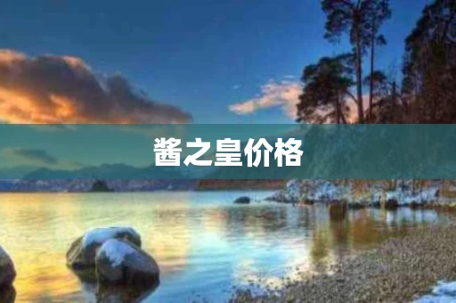 酱之皇价格