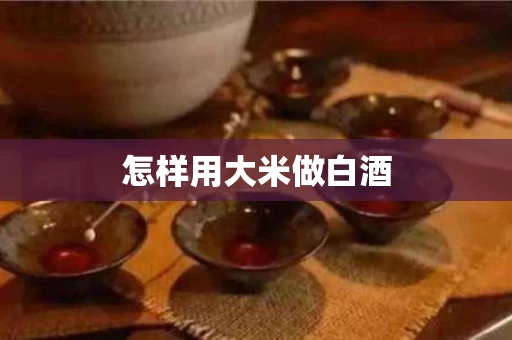 怎样用大米做白酒