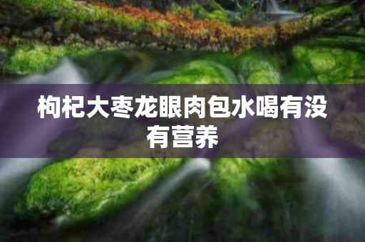 枸杞大枣龙眼肉包水喝有没有营养