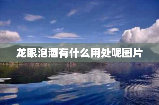 龙眼泡酒有什么用处呢图片