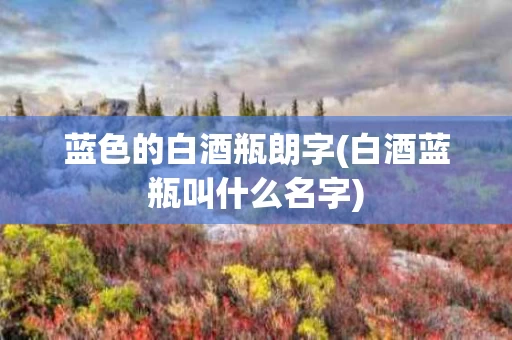 蓝色的白酒瓶朗字(白酒蓝瓶叫什么名字)