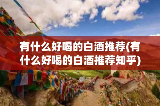 有什么好喝的白酒推荐(有什么好喝的白酒推荐知乎)
