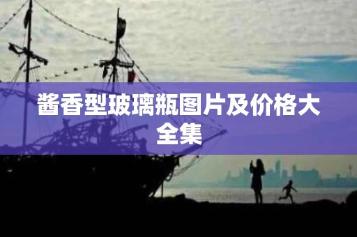 酱香型玻璃瓶图片及价格大全集