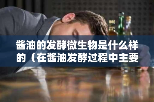 酱油的发酵微生物是什么样的（在酱油发酵过程中主要有哪些微生物参与发酵）