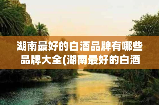 湖南最好的白酒品牌有哪些品牌大全(湖南最好的白酒品牌有哪些品牌大全名字)