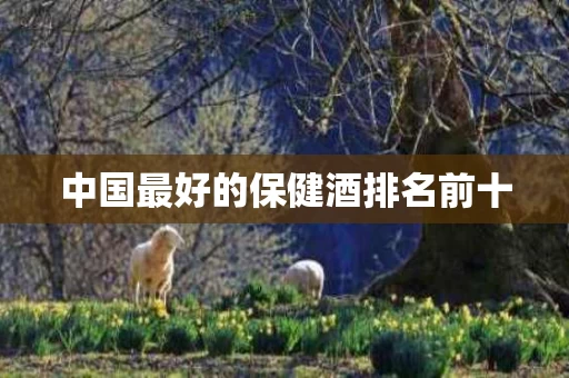 中国最好的保健酒排名前十