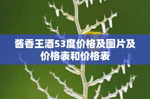 酱香王酒53度价格及图片及价格表和价格表