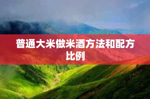 普通大米做米酒方法和配方比例