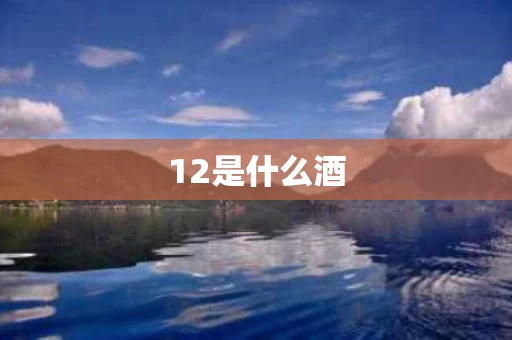 12是什么酒