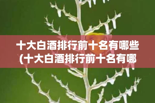 十大白酒排行前十名有哪些(十大白酒排行前十名有哪些品牌)