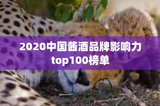 2020中国酱酒品牌影响力top100榜单