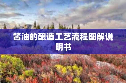 酱油的酿造工艺流程图解说明书