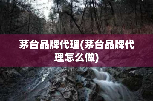 茅台品牌代理(茅台品牌代理怎么做)