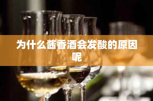 为什么酱香酒会发酸的原因呢
