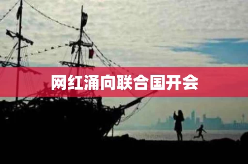 网红涌向联合国开会